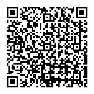 Link to your fundraiser QRCode - Fundraising