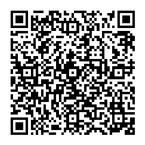 Link to your fundraiser QRCode - Fundraising