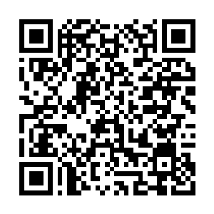 Link to your fundraiser QRCode - Fundraising