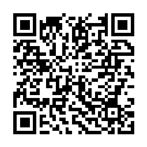 Link to your fundraiser QRCode - Fundraising