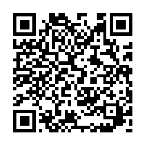 Link to your fundraiser QRCode - Fundraising