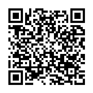 Link to your fundraiser QRCode - Fundraising