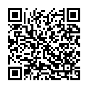 Link to your fundraiser QRCode - Fundraising