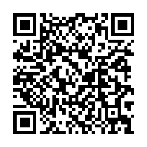Link to your fundraiser QRCode - Fundraising