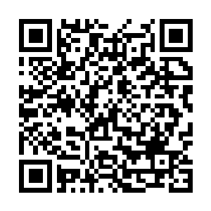 Link to your fundraiser QRCode - Fundraising
