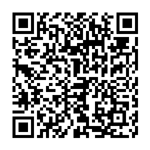 Link to your fundraiser QRCode - Fundraising