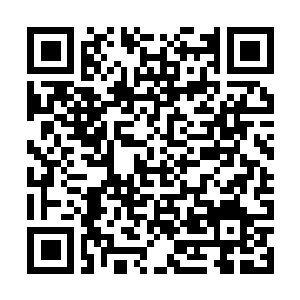 Link to your fundraiser QRCode - Fundraising