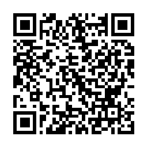 Link to your fundraiser QRCode - Fundraising