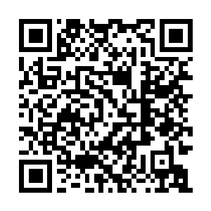 Link to your fundraiser QRCode - Fundraising