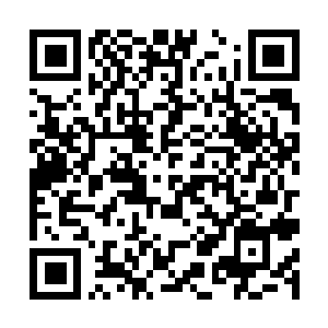 Link to your fundraiser QRCode - Fundraising
