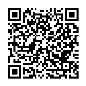 Link to your fundraiser QRCode - Fundraising