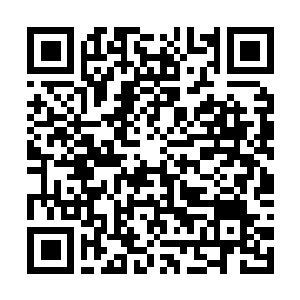 Link to your fundraiser QRCode - Fundraising