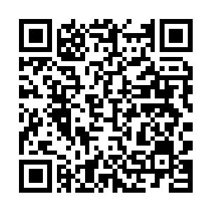 Link to your fundraiser QRCode - Fundraising
