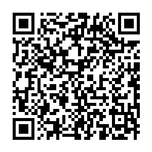 Link to your fundraiser QRCode - Fundraising