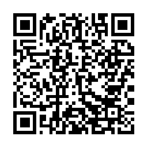 Link to your fundraiser QRCode - Fundraising