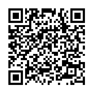 Link to your fundraiser QRCode - Fundraising