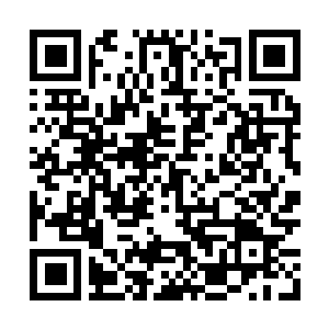 Link to your fundraiser QRCode - Fundraising