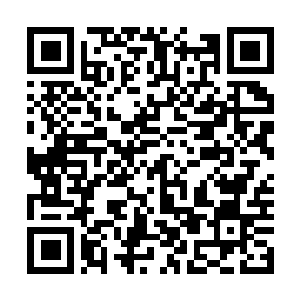 Link to your fundraiser QRCode - Fundraising