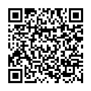 Link to your fundraiser QRCode - Fundraising