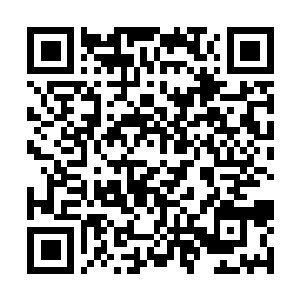 Link to your fundraiser QRCode - Fundraising