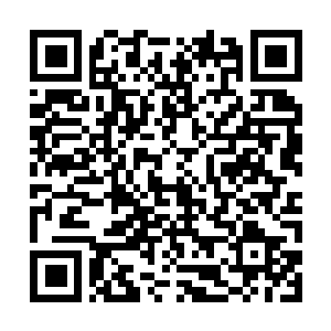 Link to your fundraiser QRCode - Fundraising