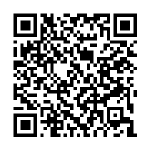 Link to your fundraiser QRCode - Fundraising