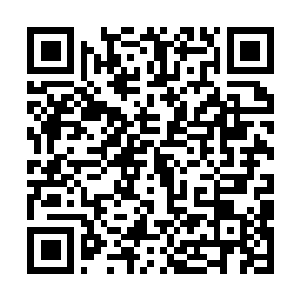 Link to your fundraiser QRCode - Fundraising