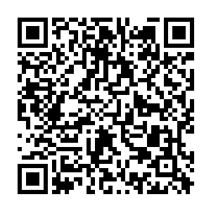 Link to your fundraiser QRCode - Fundraising