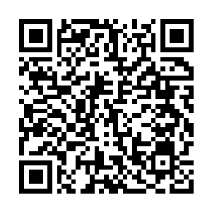 Link to your fundraiser QRCode - Fundraising