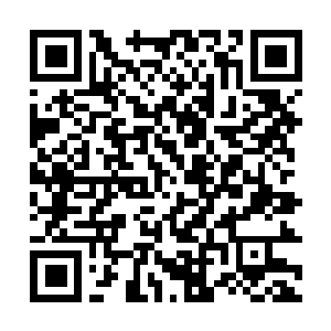 Link to your fundraiser QRCode - Fundraising