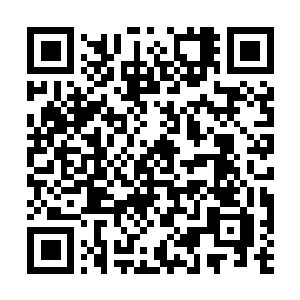 Link to your fundraiser QRCode - Fundraising