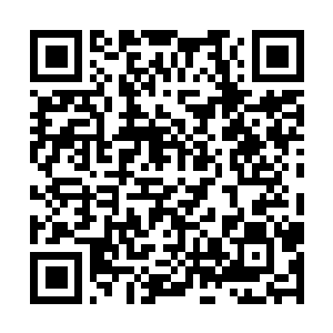 Link to your fundraiser QRCode - Fundraising