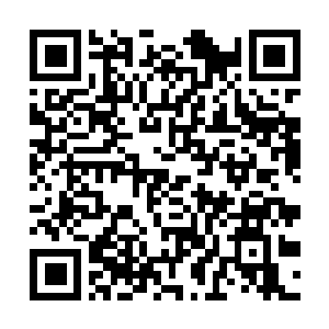 Link to your fundraiser QRCode - Fundraising