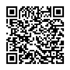 Link to your fundraiser QRCode - Fundraising