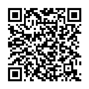 Link to your fundraiser QRCode - Fundraising