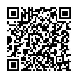 Link to your fundraiser QRCode - Fundraising