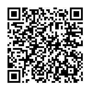 Link to your fundraiser QRCode - Fundraising