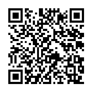 Link to your fundraiser QRCode - Fundraising