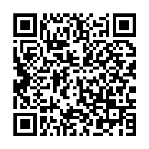 Link to your fundraiser QRCode - Fundraising