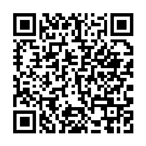 Link to your fundraiser QRCode - Fundraising