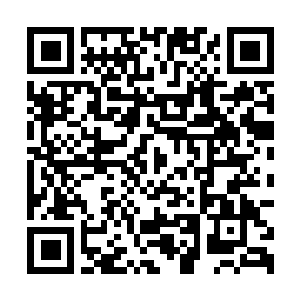 Link to your fundraiser QRCode - Fundraising