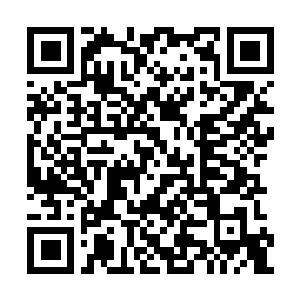Link to your fundraiser QRCode - Fundraising
