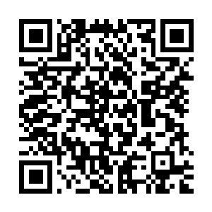 Link to your fundraiser QRCode - Fundraising
