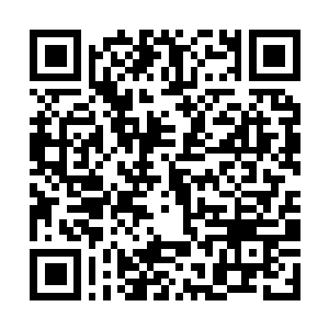 Link to your fundraiser QRCode - Fundraising