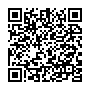 Link to your fundraiser QRCode - Fundraising