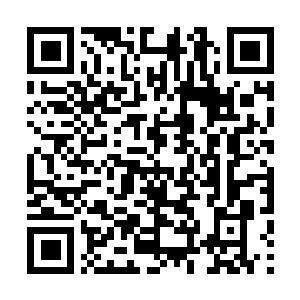 Link to your fundraiser QRCode - Fundraising