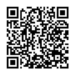 Link to your fundraiser QRCode - Fundraising