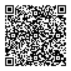 Link to your fundraiser QRCode - Fundraising
