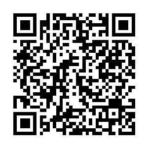 Link to your fundraiser QRCode - Fundraising