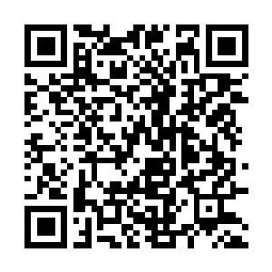 Link to your fundraiser QRCode - Fundraising